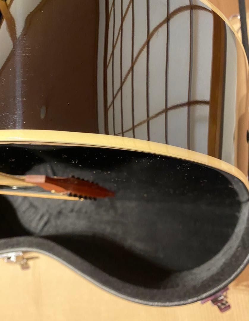 Epiphone DR-100 EB エボニー ハードケース付