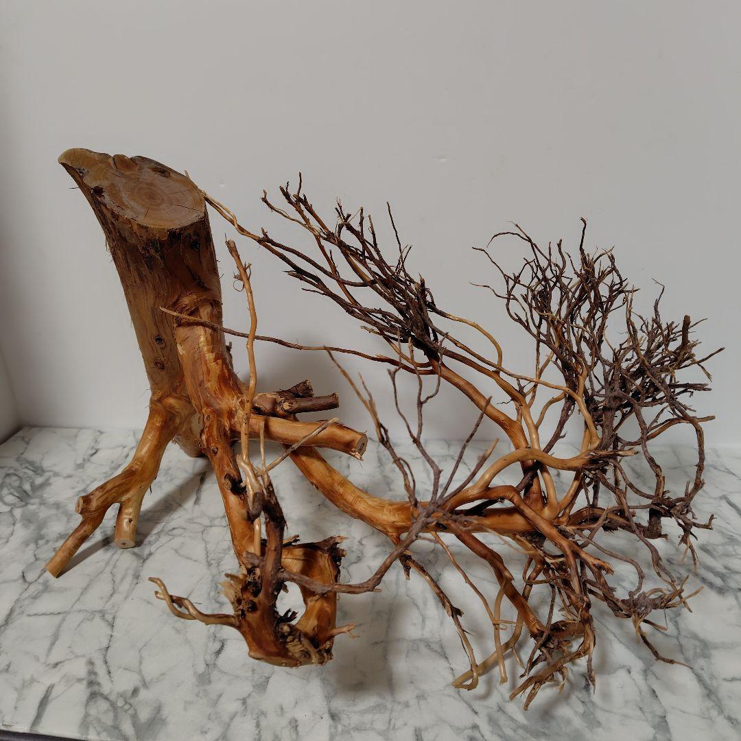 アク抜き済み流木【17】セール