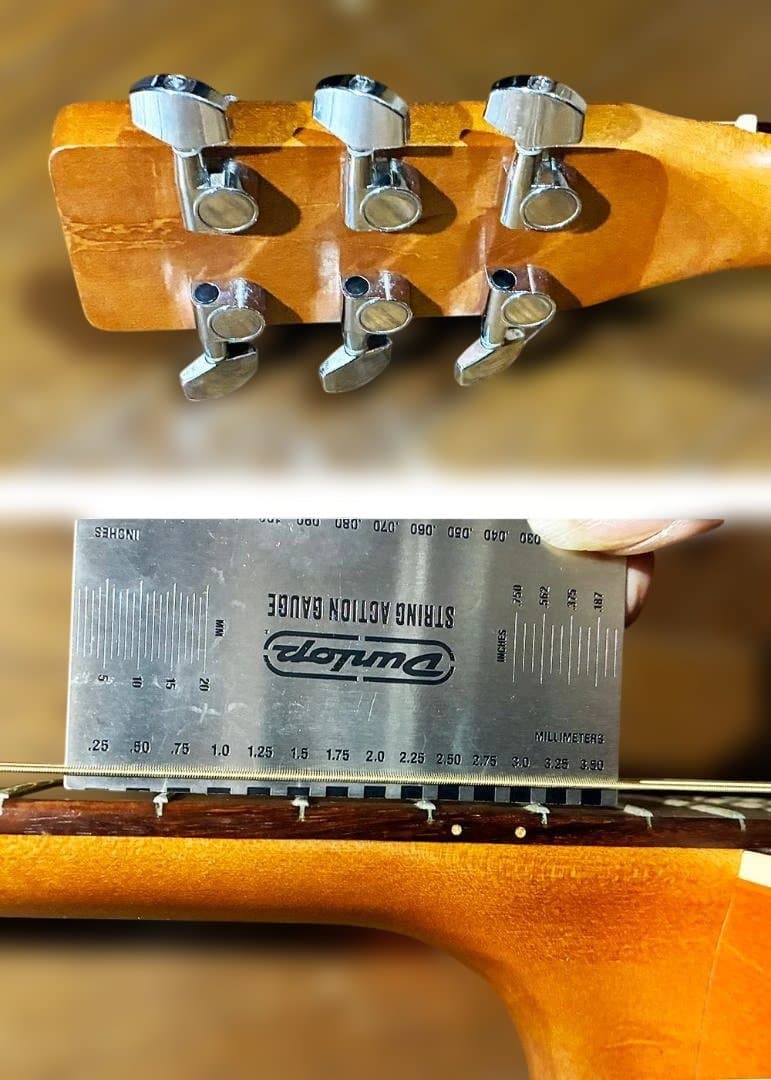 ライカ　Art&Lutherie Folk Cedar Sunrise