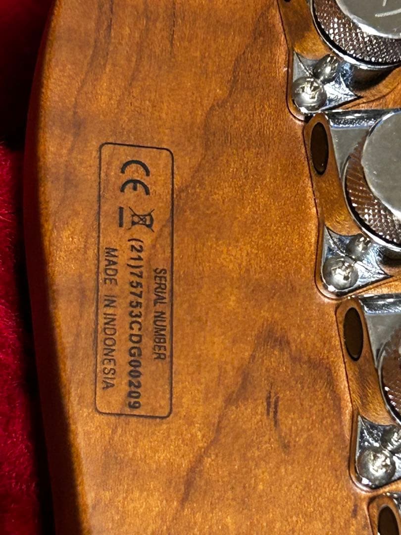 ギター Harley Benton Fusion-T HH Roasted