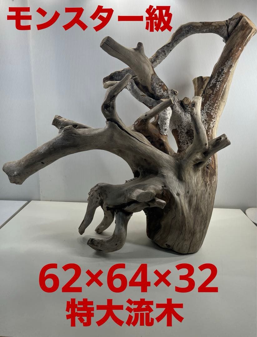 W21特大流木 アク抜き済み流木 爬虫類シェルター 止まり木 バードアスレチック