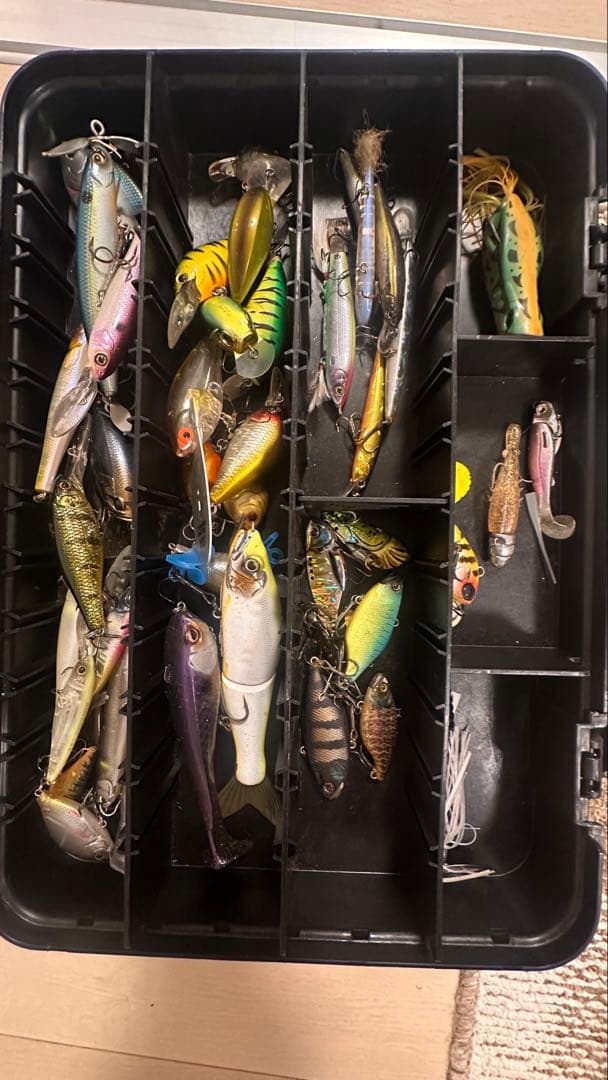 バス釣り引退セット 早い者勝ち！ シマノ ダイワ