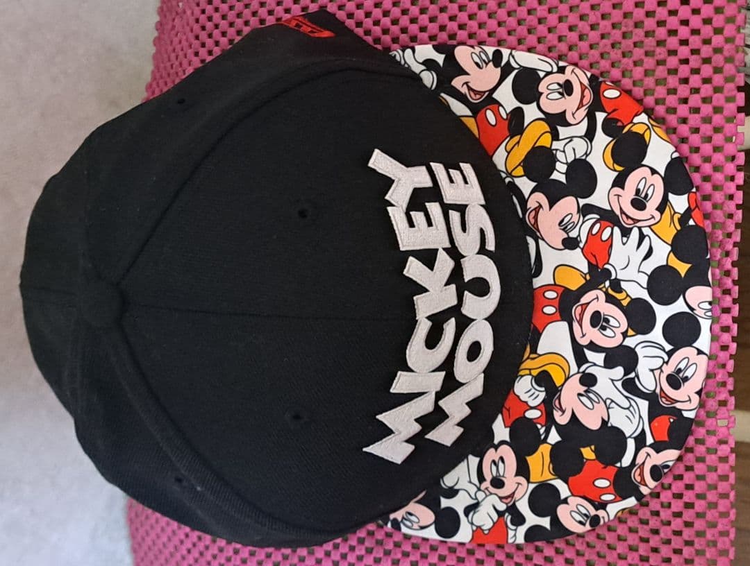 東京ディズニーリゾート ミッキーマウス　ドナルドダック 　コラボ　キャップ