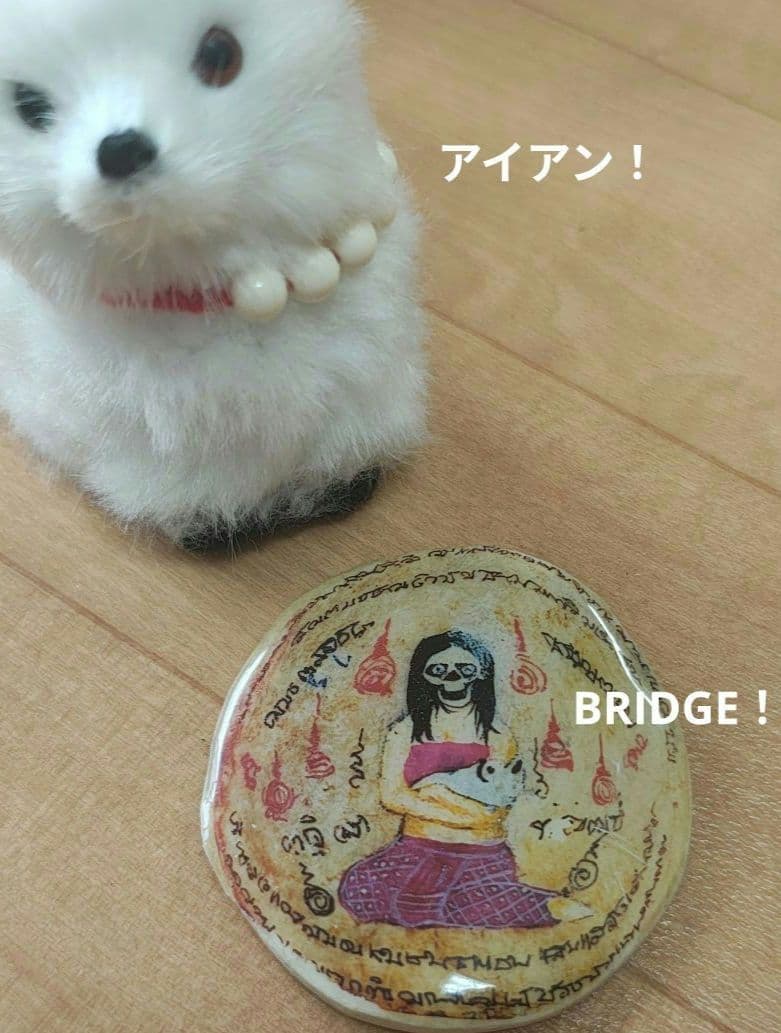 【MADAM】タイのお守りプラクルアン！マザームーン！ギャンブル運が極超アップ！