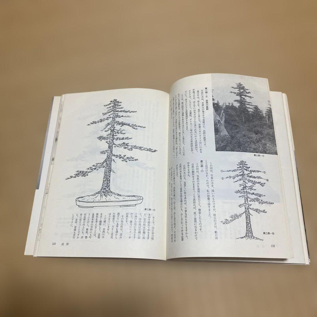 盆栽樹形の作り方 阿部倉吉