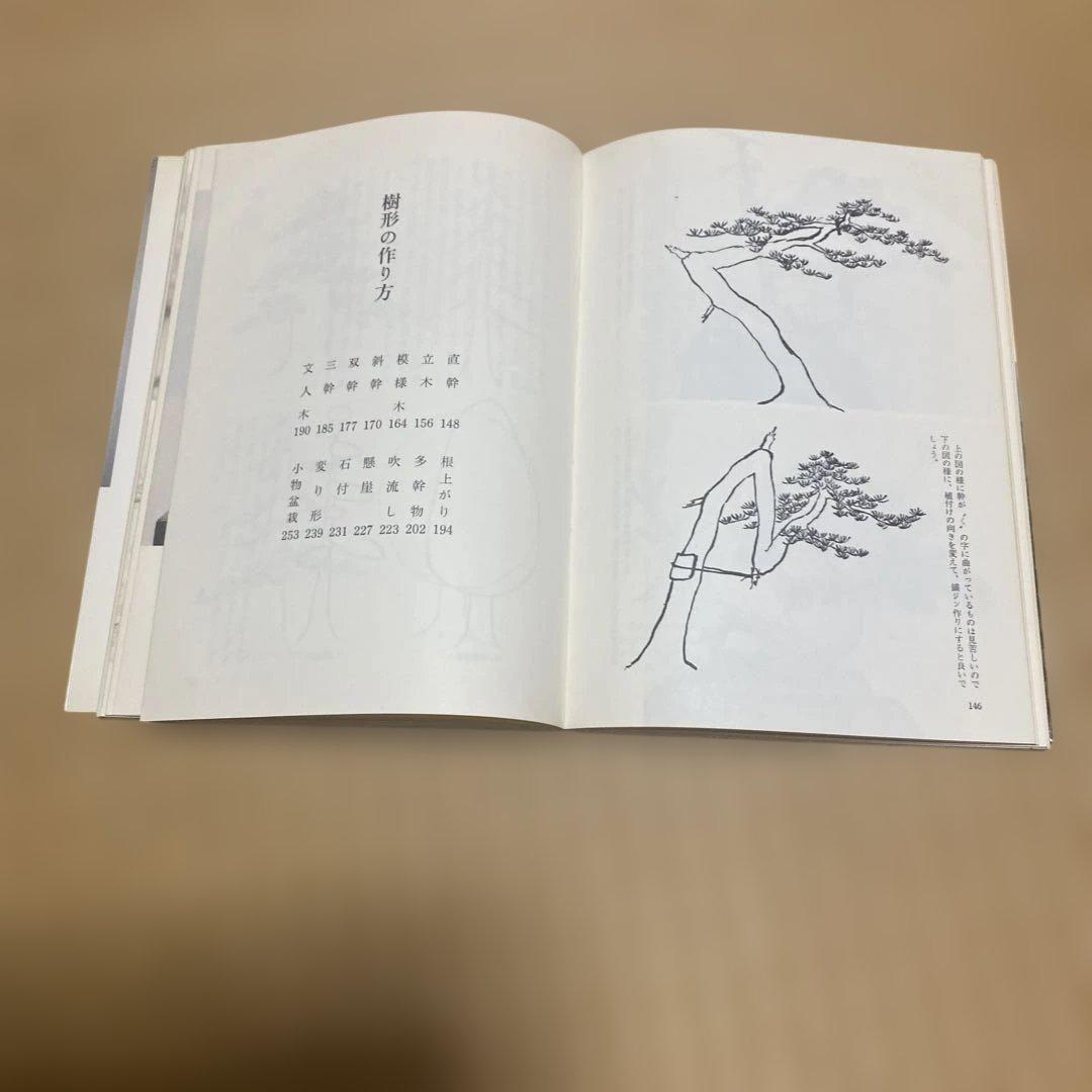 盆栽樹形の作り方 阿部倉吉
