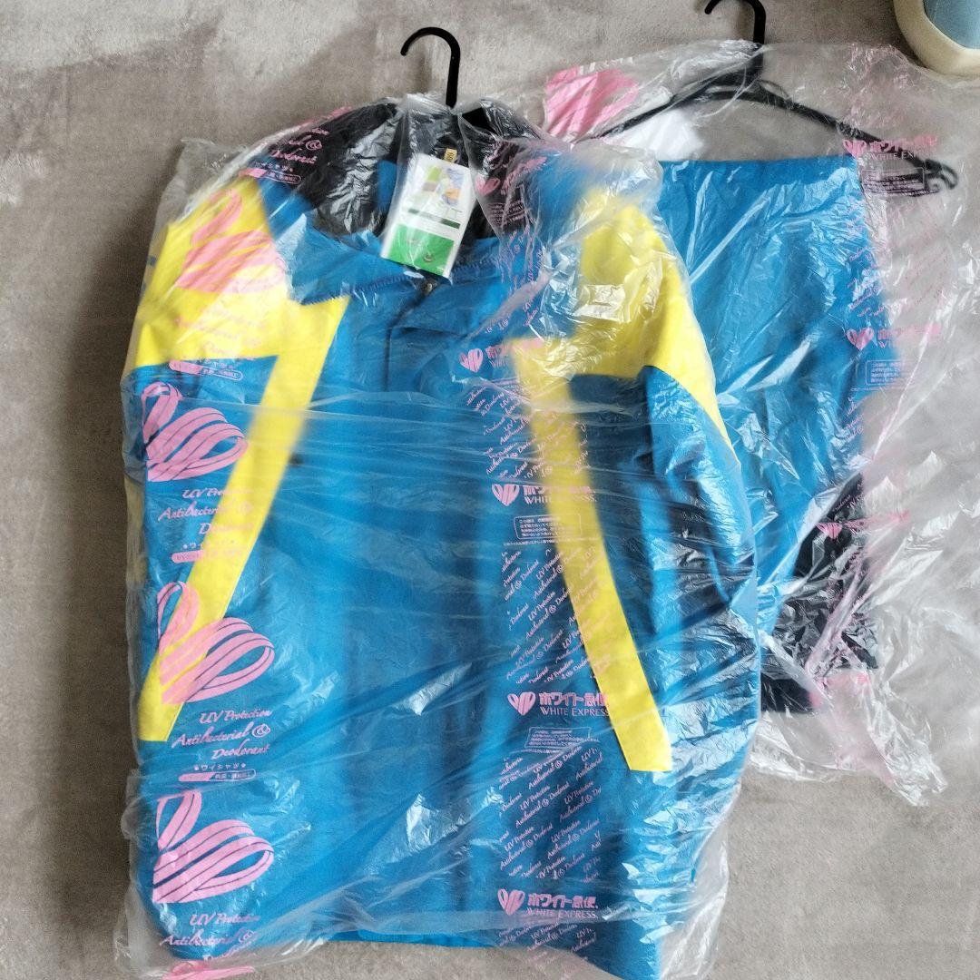 ゴールドウィン スキーウェア 上下