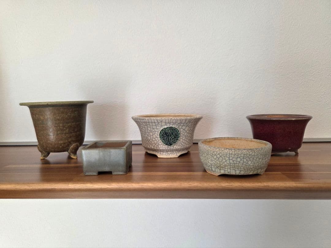 美巧　堀江美巧　盆栽鉢　鉢　盆栽　陶器鉢 5点セット