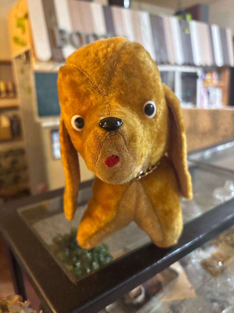 シュタイフ　犬　ぬいぐるみ　当時物　アンティーク　ヴィンテージ　ダックスフント