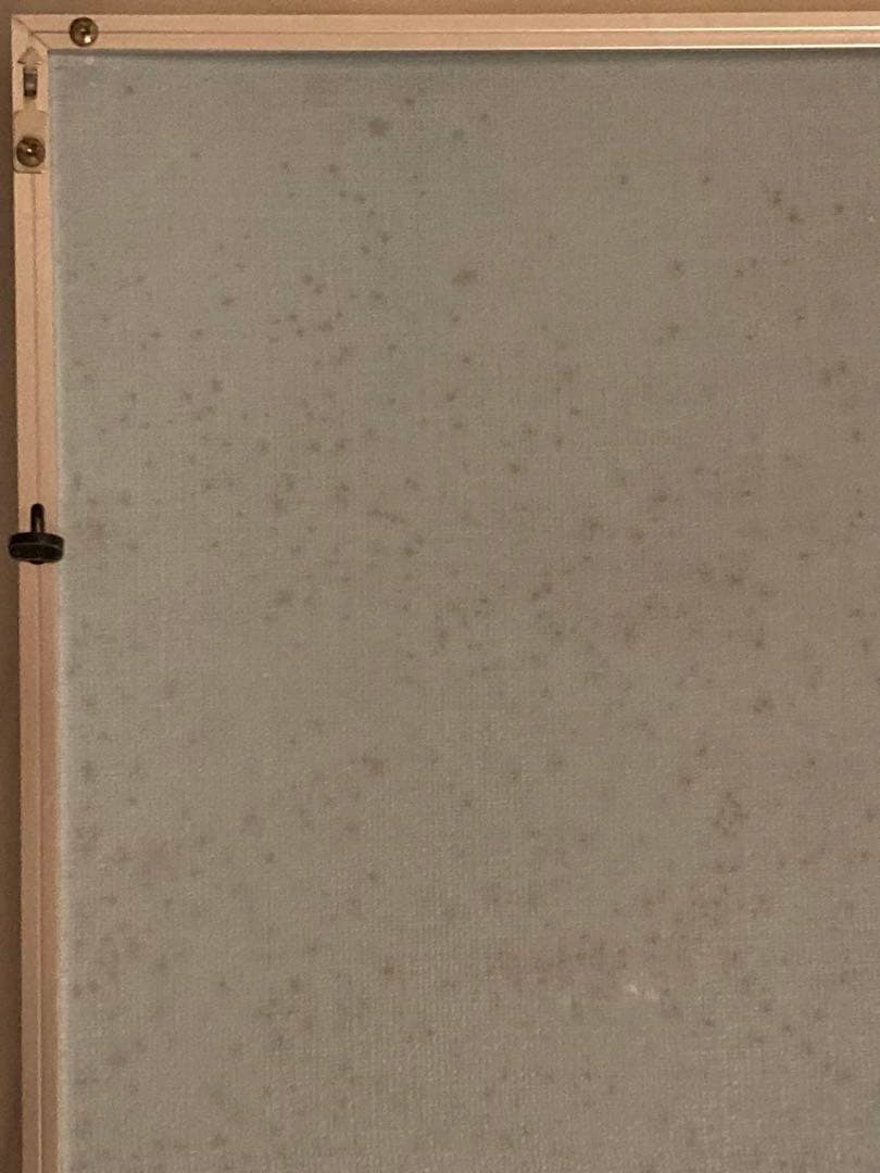 甲斐よしひろ　ポスターパネル　サイン色紙　レア品　TOSHIBA EMI