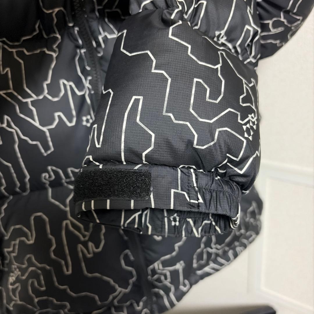 THE NORTH FACE ND92336 L ダウンジャケット