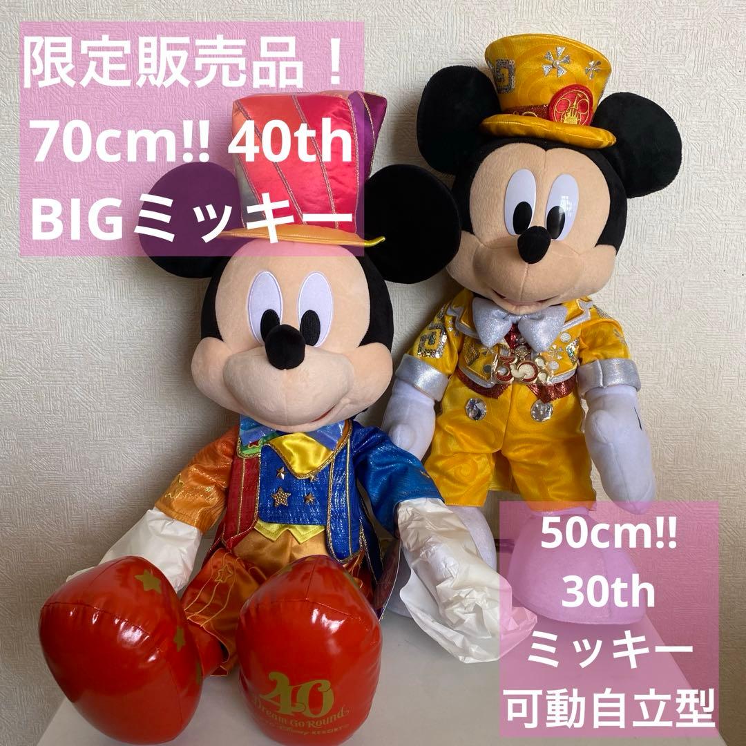 ディズニーリゾート　40周年　ぬいぐるみ　ミッキー　70cm 巨大　限定　レア