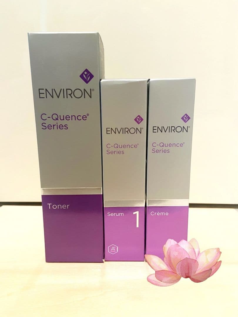 8日発送 Cクエンス1セット