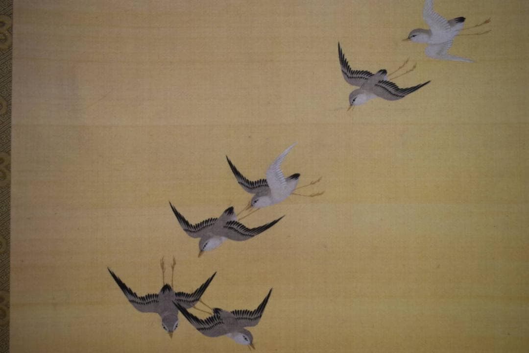 複製/酒井抱一/三ヶ月千鳥図/工芸/桐共箱付/布袋屋掛軸HI-566