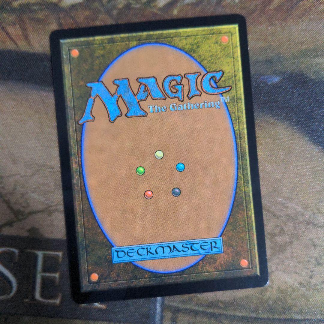 MTG　新緑の地下墓地/Verdant Catacombs　Foil　4枚