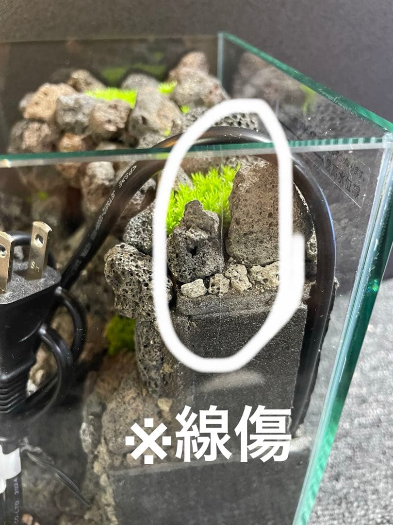 アクアテラリウム　　溶岩石　No.3　※傷あり特価※