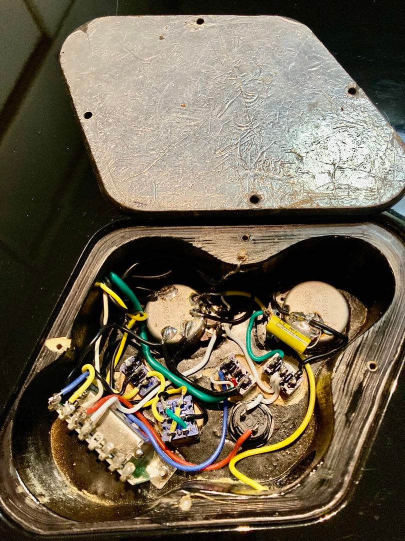 ☆ねこ☆ GrassRoots G-I-48LP 唯一無二の改造ギター