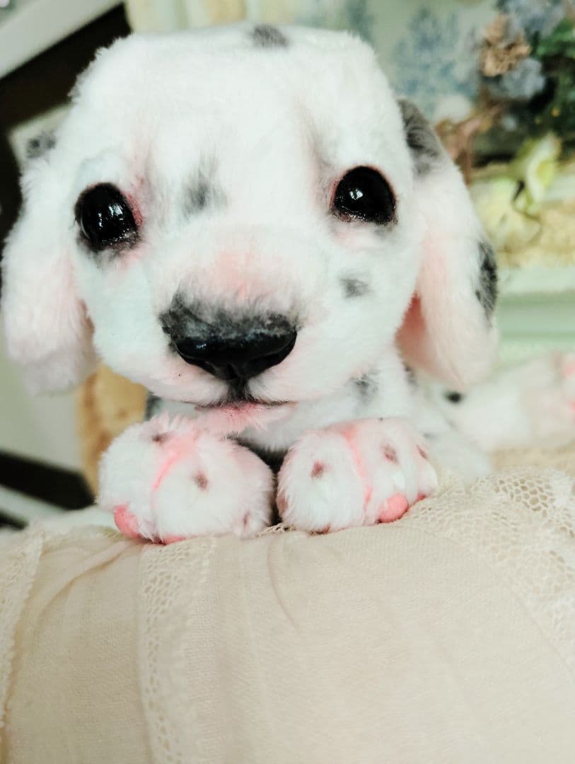 ちびのすけちゃん❤オーダー❤ダルメシアン子犬♡ベビー♡アートドール♡