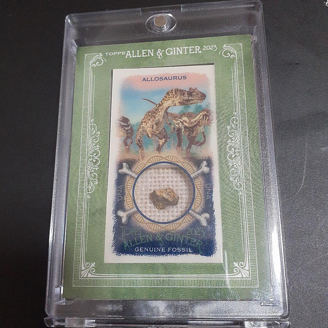 あ*ん様 allen & ginter dna relic 化石 allosau