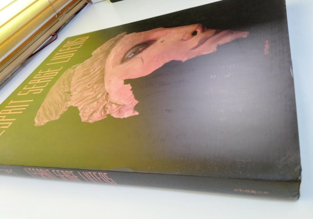 セルジュ・リュタンス「エスプリ」大判写真集　1992年刊行