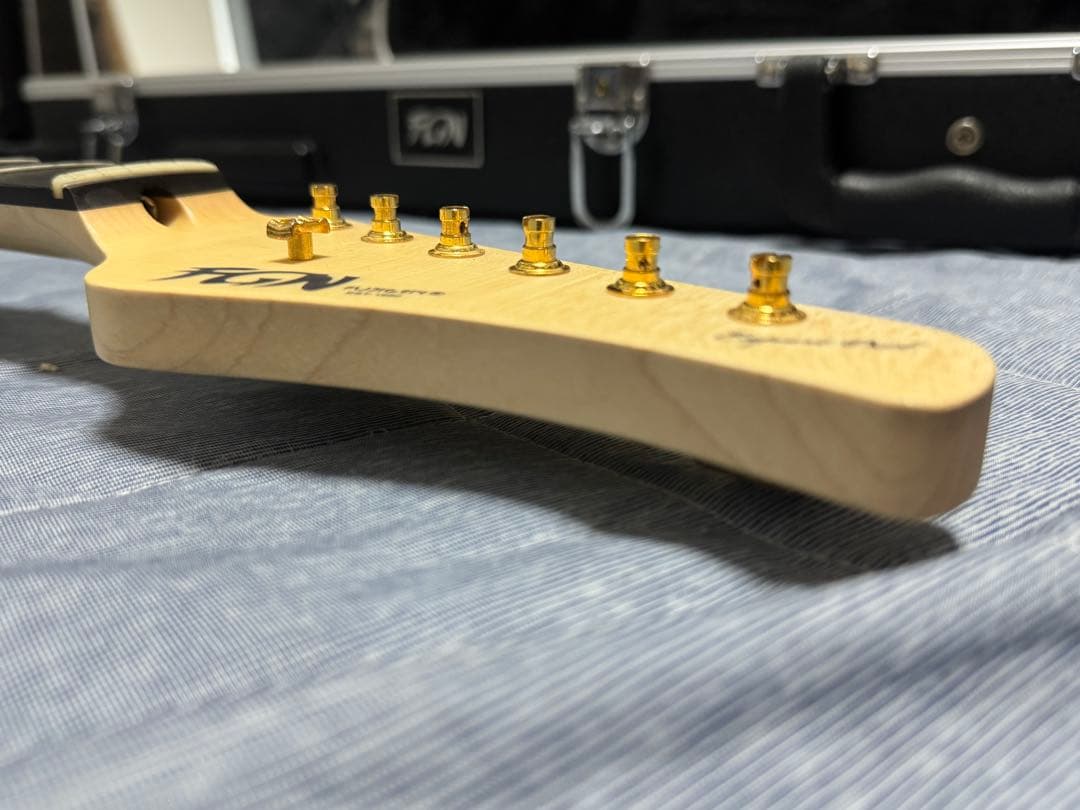 ギター (Fujigen) Expert OS(EOS)