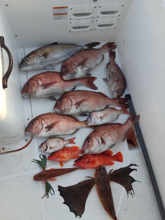 タイラバヘッド  タングステン　新色