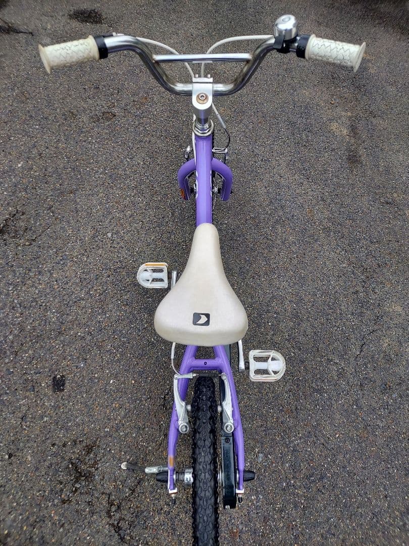 LOUIS GARNEAU ルイガノ パープル 引き取り限定