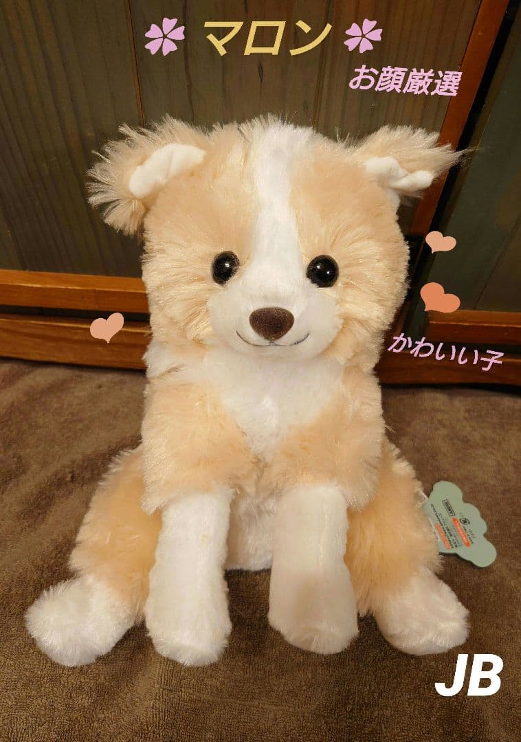 くったりボーダーコリー【新作★新キャラ】おりこうさん  マロン  JB