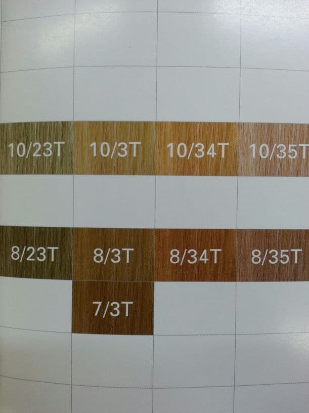 プロアクションカラーシリーズ　Tシェード