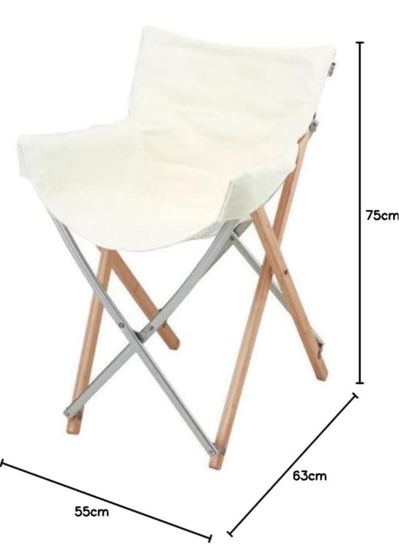 未使用 スノーピーク チェア Take!チェア LV-085 箱無し特価