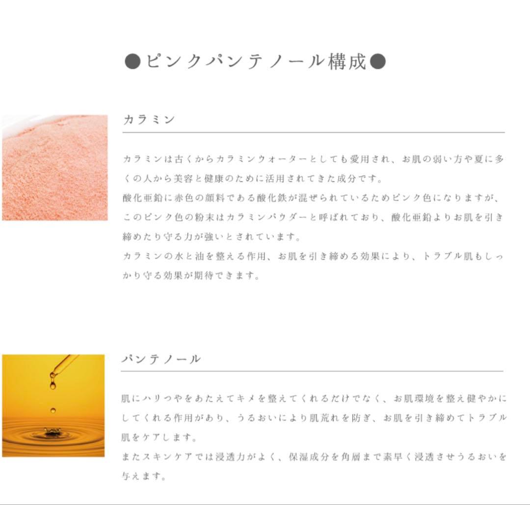 値下げ【セット】スピケアV3セットアップパウダー&パーティクルプライマー