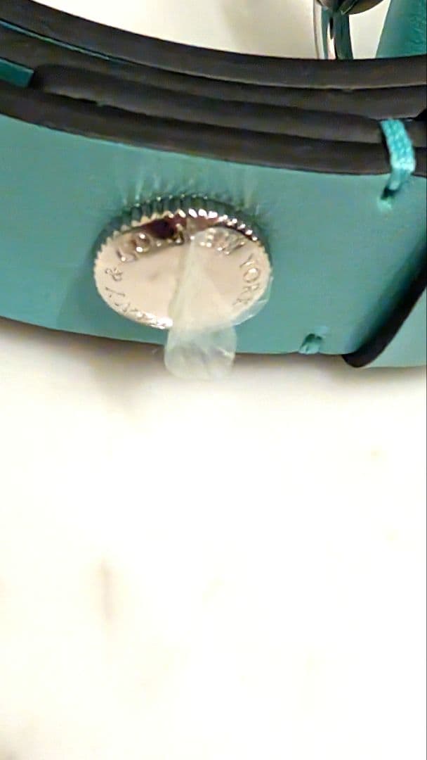 ■試着のみ 新品未使用 TIFFANY 首輪+リードセット Lサイズ 中〜大型犬