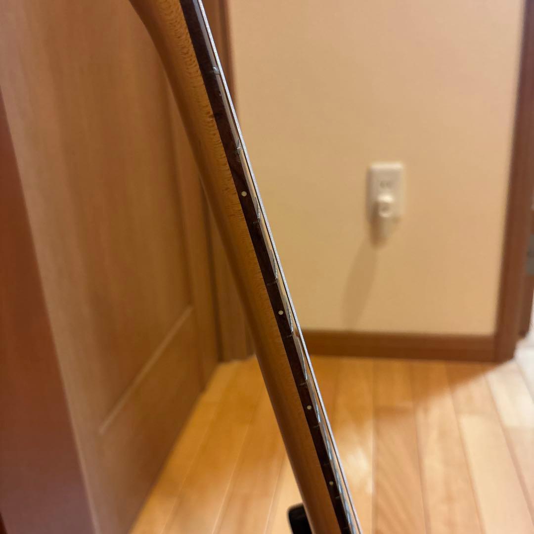 Bacchus UNIVERSE SERIES GS-Mini トレモロアーム付