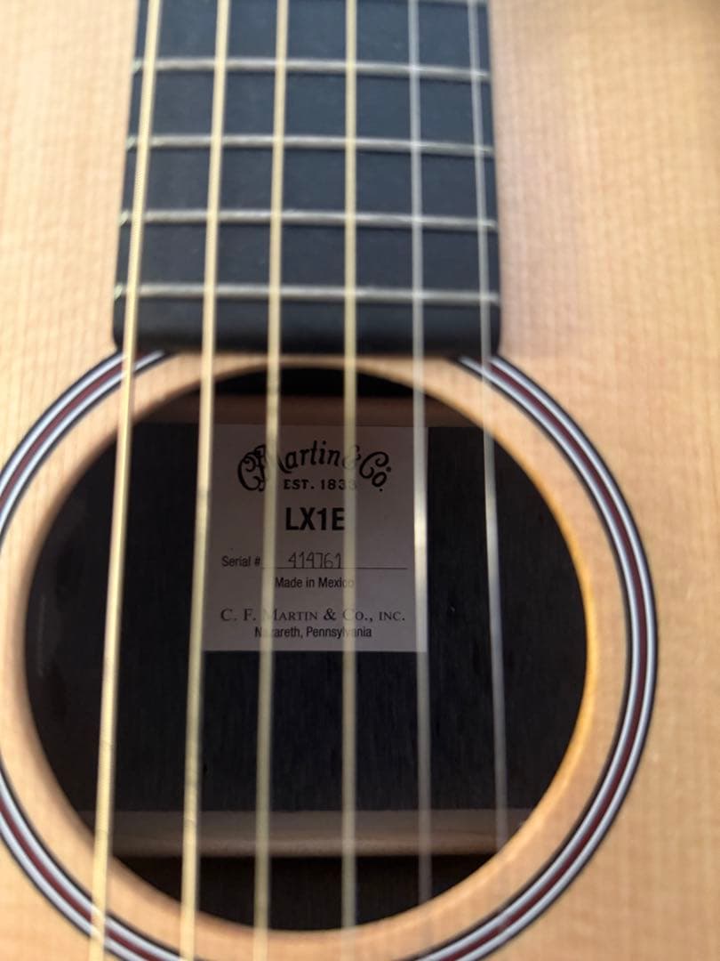 Martin & Co. エレアコ LX1E