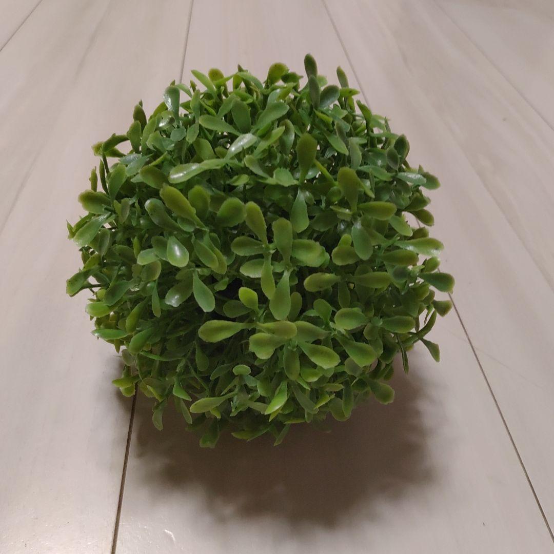 爬虫類・両生類用レイアウト用品セット