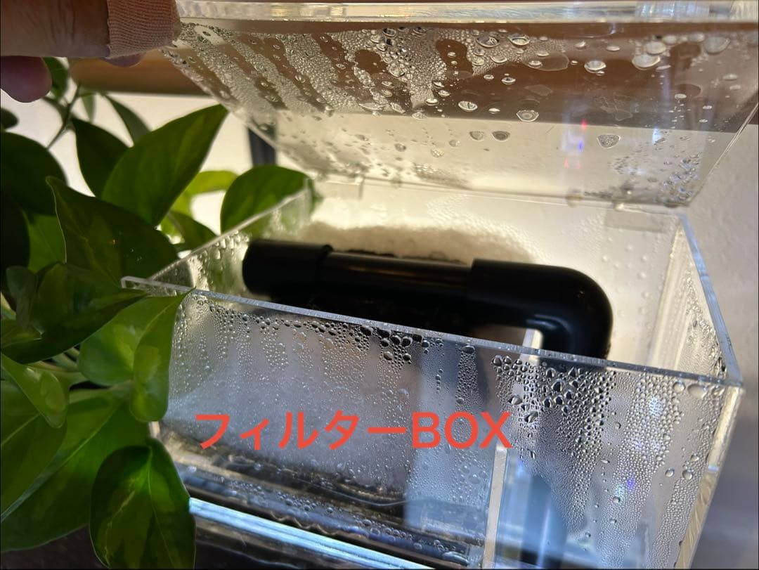 【訳あり】60㎝水槽用　上部濾過式アクアリウム水槽アクアポニックス仕様B