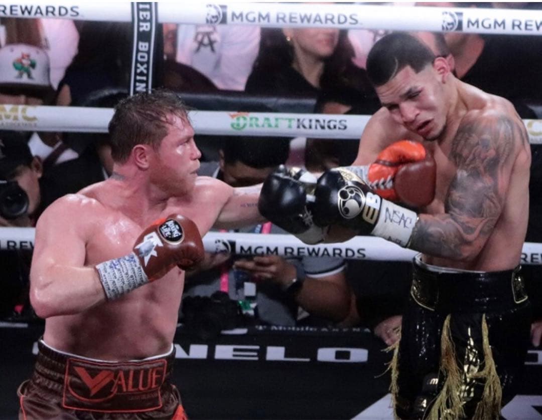 ボクシンググローブ　ノーボクシングノーライフ　10oz特注品