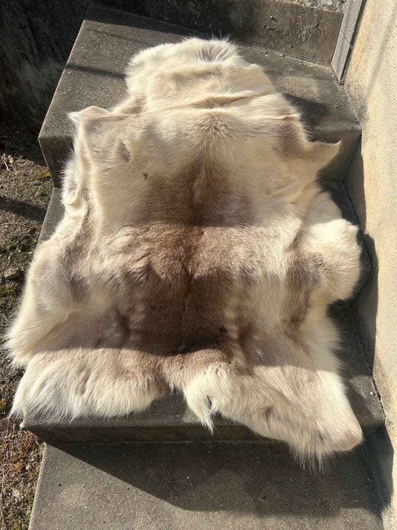 DALUM REINDEER FUR WARD L ダーラム トナカイファー