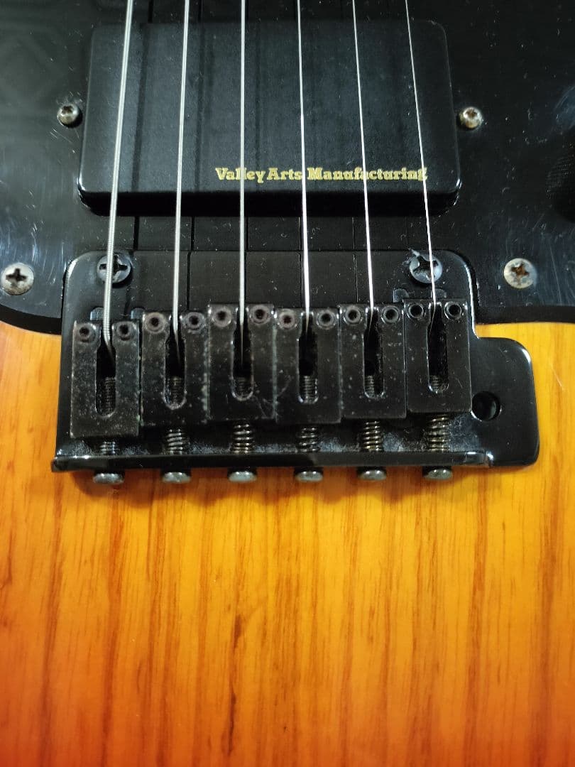 VALLEY ARTS Custom Line Limited Mシリーズ