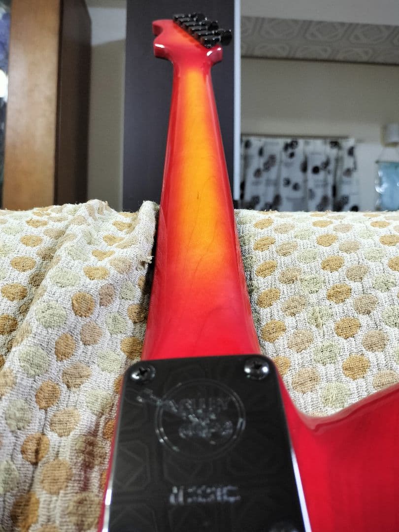 VALLEY ARTS Custom Line Limited Mシリーズ