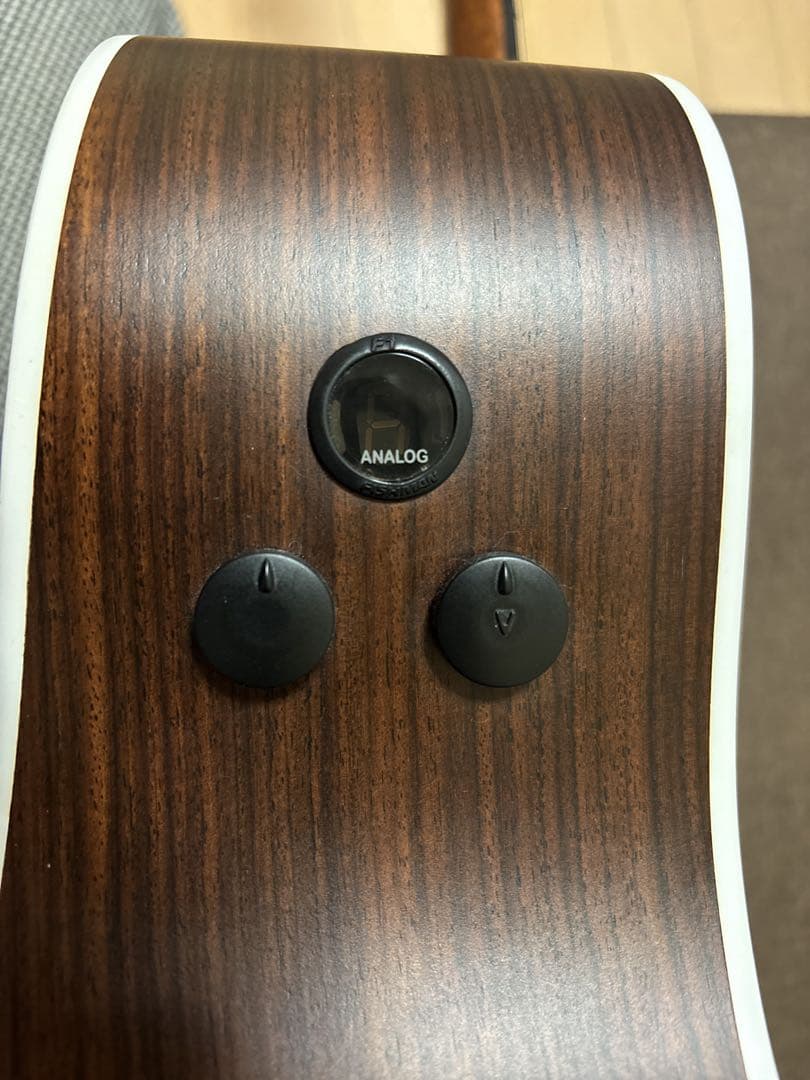 Martin & Co. アコースティックギター GPCPA4 Rosewood