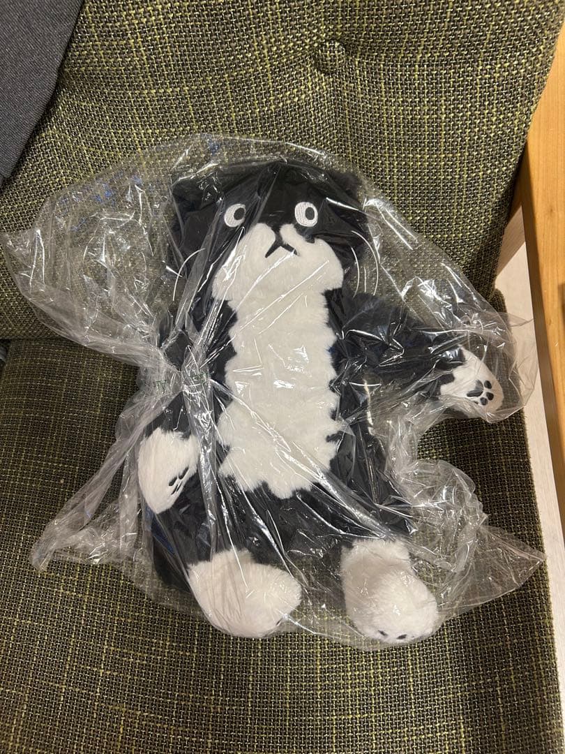 アフタヌーンティー　チェ・ヨンジュ　モーちゃん　ぬいぐるみ 猫 ネコ