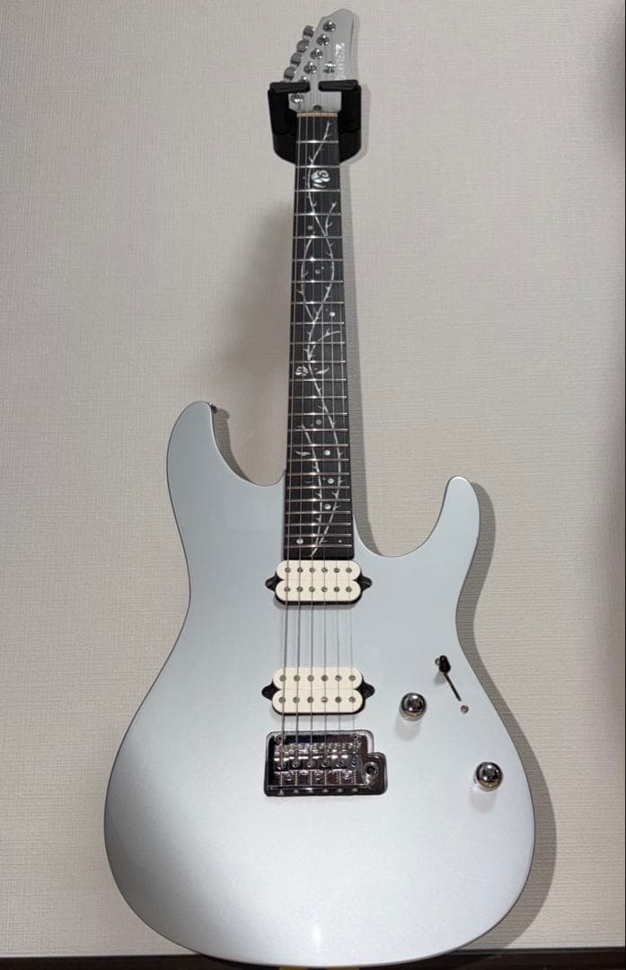 ギター Ibanez TOD10