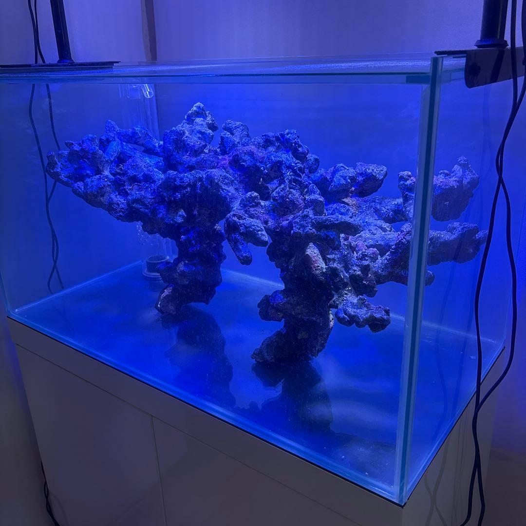 引き取り限定 90cm オーバーフロー水槽