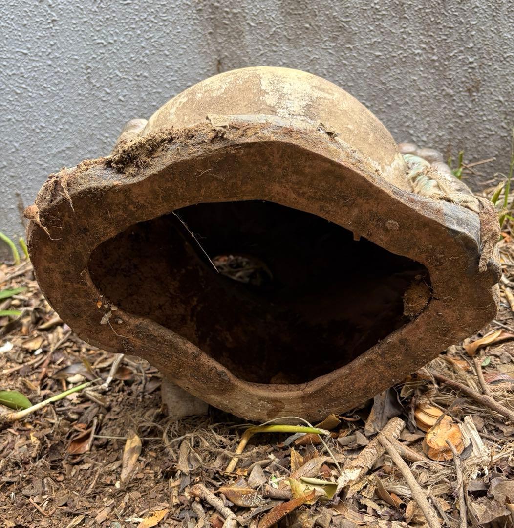 狸 縁起物 陶器製 約56cm 麦わら帽子 置物