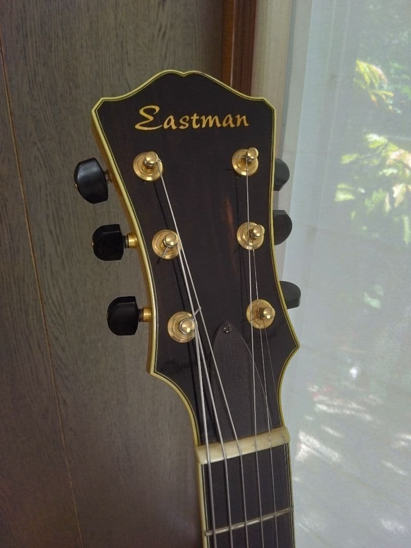 Eastman(イーストマン)　ジャズギター　フルアコ