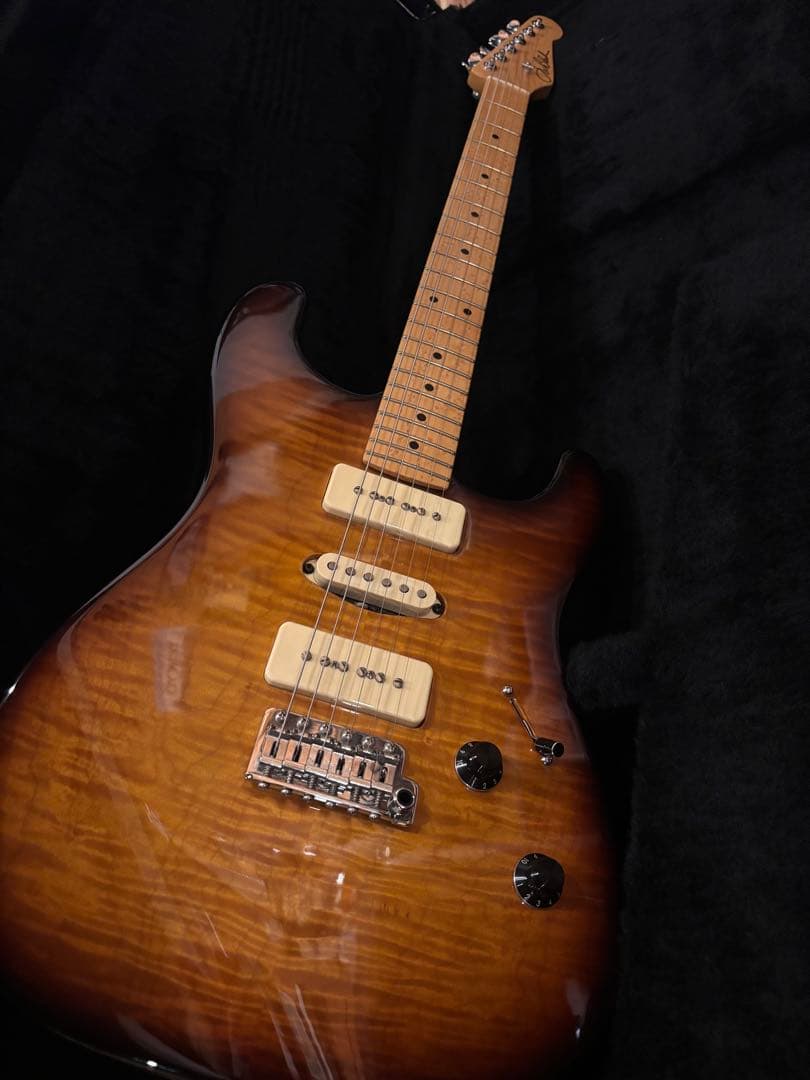 ギター J.W.Black guitars jwb-s 2019 soapbar