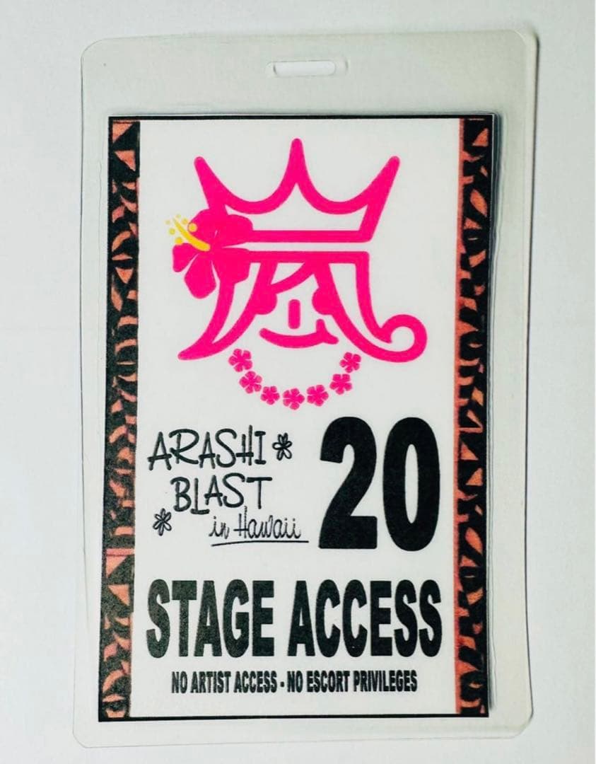 嵐 BLAST in Hawaii グッズ スタッフパス　劇レア