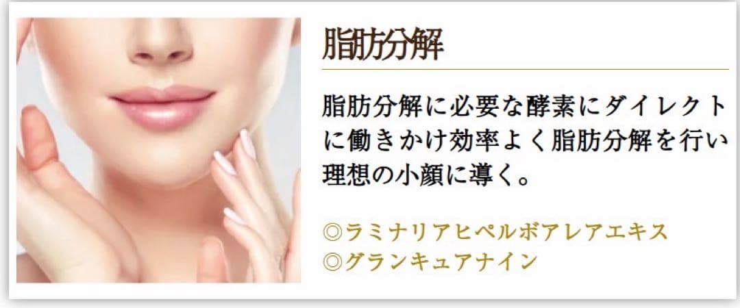 【新品未使用】高機能マルチ美容液　フェイススリムブースターセラム 40mL