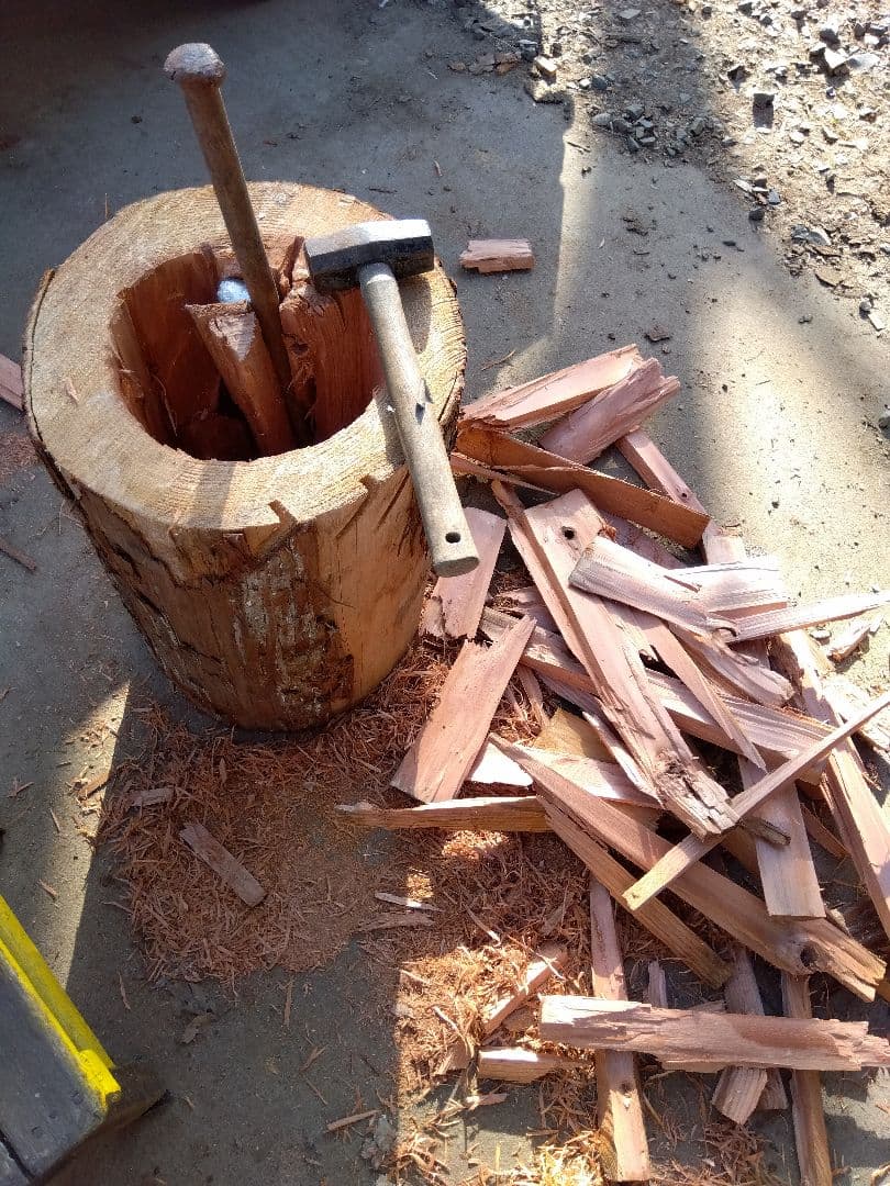 みつばち飼育箱、昆虫飼育用 中空洞木材 杉材 樹洞 くり抜き 丸洞 丸太